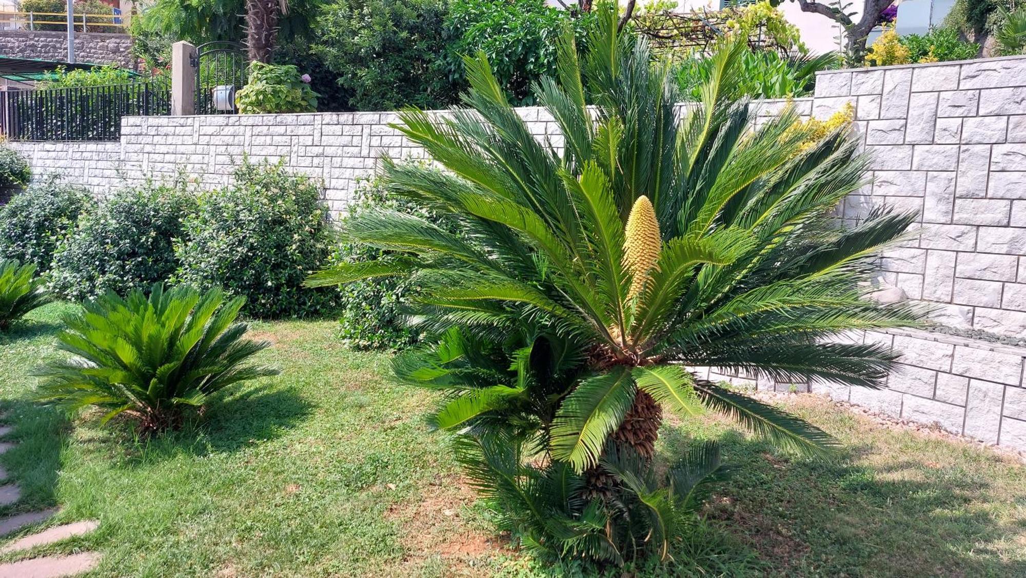 Appartamento Opatija Centar Esterno foto